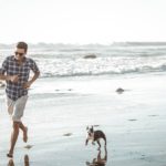 Do Pets Need Exercise And Why?